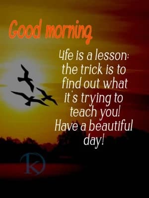 Good morning. Life is a lesson: the trick is to find out what it's trying to teach you! Have a beautiful day!