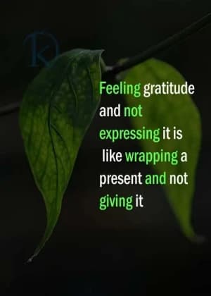 Feeling gratitude and not expressing it is like wrapping a present and not giving it.