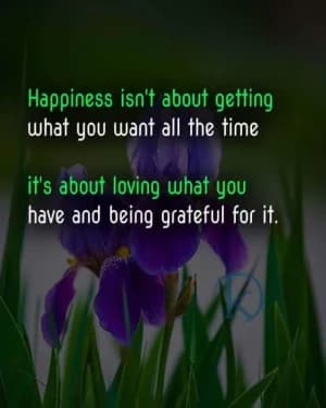 Happiness isn't about getting what you want all the time. It's about loving what you have and being grateful for it.
