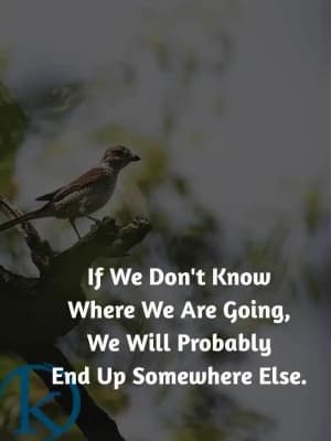 If we don't know where we are going, we will probably end up somewhere else.