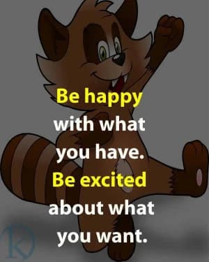 Be happy with what you have. Be excited about what you want.