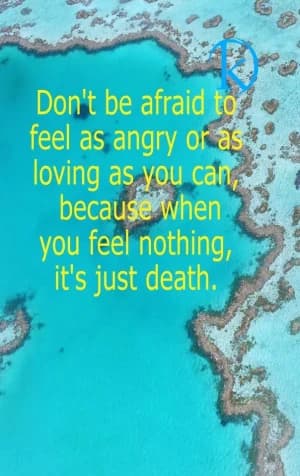 Don't be afraid to feel as angry or as loving as you can because when you feel nothing, it's just death.