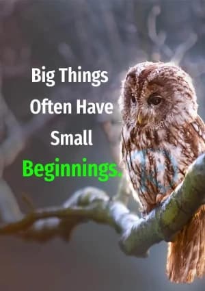 Big things often have small beginnings.