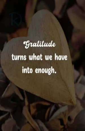 Gratitude turns what we have into enough.