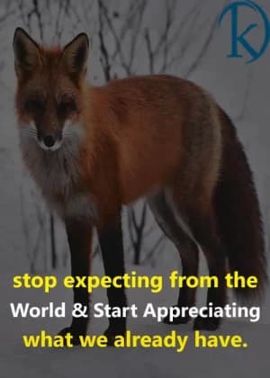 Stop expecting from the world and start appreciating what we already have.
