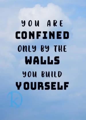 YOU ARE CONFINED ONLY BY THE WALLS YOU BUILD YOURSELF