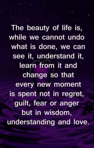 The beauty of life is, while we cannot undo what is done, we can see it, understand it, learn from it, and change so that every new moment is spent not in regret, guilt, fear, or anger but in wisdom, understanding, and love.