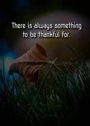 There is always something to be thankful for.