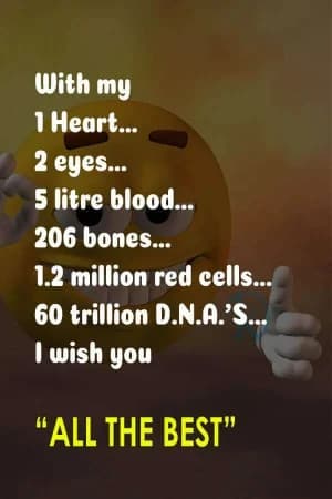 With my  1 heart,  2 eyes,  5 litres of blood,  206 bones,  1.2 million red cells,  and 60 trillion DNAs,  I wish you  "All the best."