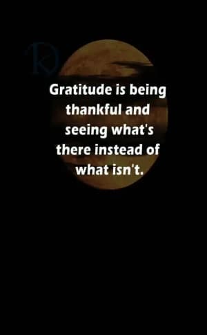 Gratitude is being thankful and seeing what's there instead of what isn't.
