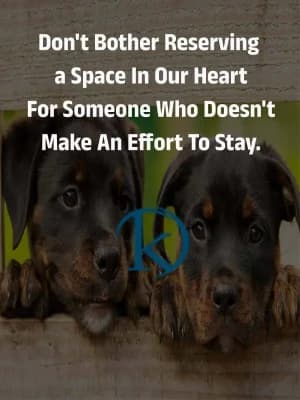 Don't bother reserving a space in our heart for someone who doesn't make an effort to stay.
