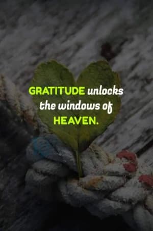 Gratitude unlocks the windows of heaven.