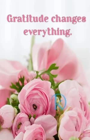 Gratitude changes everything.