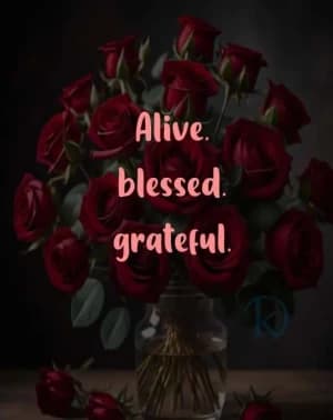 Alive, blessed, grateful.