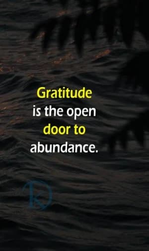 Gratitude is the open door to abundance.
