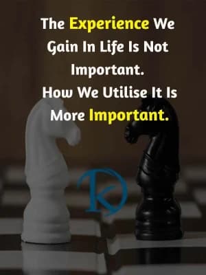 The Experience We Gain in Life is Not Important. How We Utilize It is More Important.