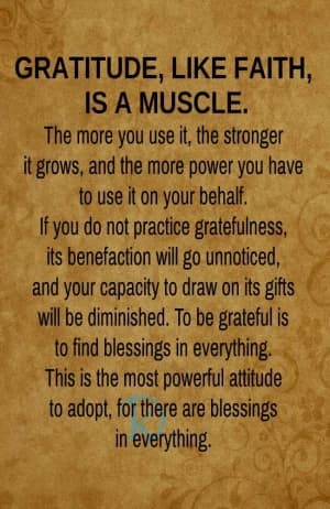 GRATITUDE, LIKE FAITH, IS A MUSCLE.  The more you use it, the stronger it grows, and the more power you have to use it on your behalf.  If you do not practice gratefulness, its benefaction will go unnoticed, and your capacity to draw on its gifts will be diminished.  To be grateful is to find blessings in everything.  This is the most powerful attitude to adopt, for there are blessings in everything.