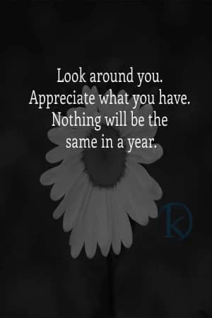 Look around you. Appreciate what you have. Nothing will be the same in a year.