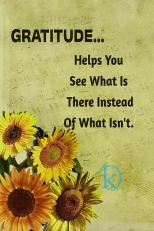 Gratitude helps you see what is there instead of what isn't.