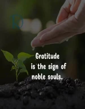 Gratitude is the sign of noble souls.