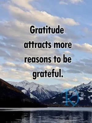 Gratitude attracts more reasons to be grateful.