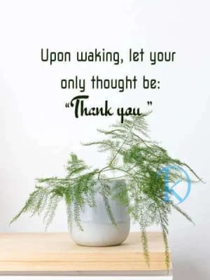 Upon waking, let your only thought be, Thank you.