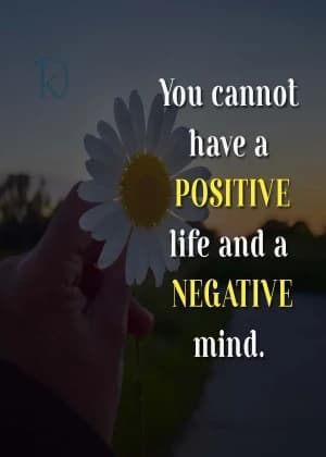 You cannot have a POSITIVE life and a NEGATIVE mind.