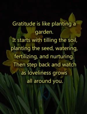 Gratitude is like planting a garden. It starts with tilling the soil, planting the seed, watering, fertilizing, and nurturing. Then step back and watch as loveliness grows all around you.