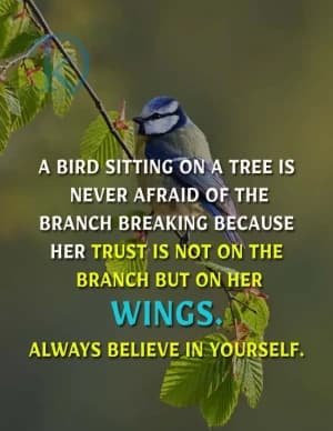 A BIRD SITTING ON A TREE IS NEVER AFRAID OF THE BRANCH BREAKING BECAUSE HER TRUST IS NOT ON THE BRANCH BUT ON HER WINGS. ALWAYS BELIEVE IN YOURSELF.