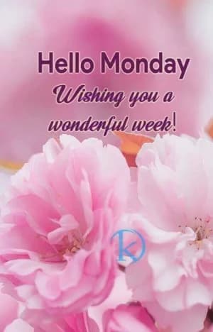 Hello Monday. Wishing you a wonderful week!