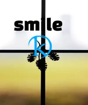 Here is the cleaned and refined quote:

smile