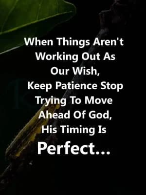 When things aren't working out as our wish, Keep patience. Stop trying to move ahead of God. His timing is perfect...