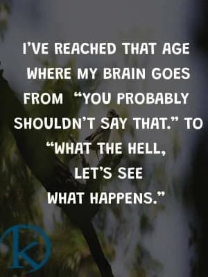 I've reached that age where my brain goes from 'You probably shouldn't say that.' to 'What the hell, let's see what happens.