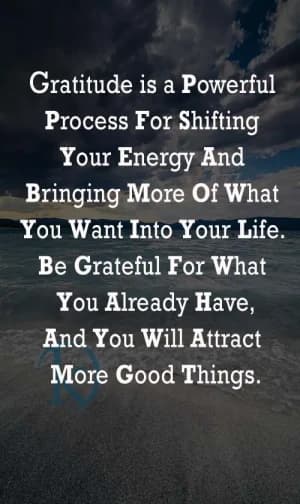 Gratitude is a powerful process for shifting your energy and bringing more of what you want into your life. Be grateful for what you already have, and you will attract more good things.
