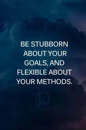BE STUBBORN ABOUT YOUR GOALS, AND FLEXIBLE ABOUT YOUR METHODS.