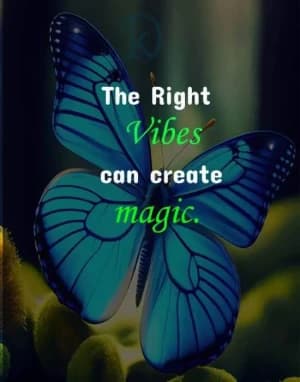 The Right Vibes can create magic.