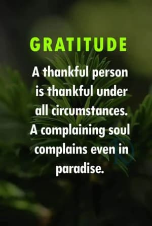 GRATITUDE: A thankful person is thankful under all circumstances. A complaining soul complains even in paradise.
