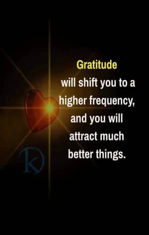 Gratitude will shift you to a higher frequency, and you will attract much better things.