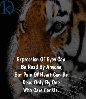 Expression of eyes can be read by anyone, but pain of heart can be read only by one who cares for us.