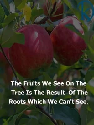 The Fruits we see on the tree is the result of the roots, which we can't see.