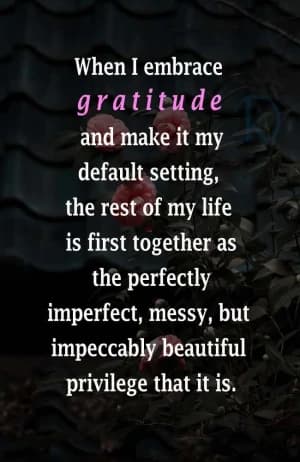 When I embrace gratitude and make it my default setting, the rest of my life is first together as the perfectly imperfect, messy, but impeccably beautiful privilege that it is.