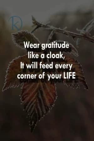 Wear gratitude like a cloak; it will feed every corner of your life.