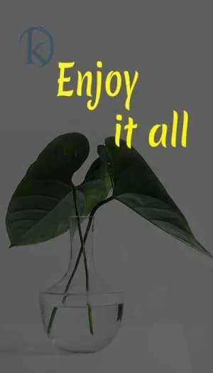 Enjoy it all.