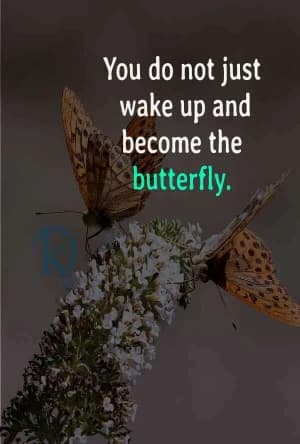 You don't just wake up and become a butterfly.