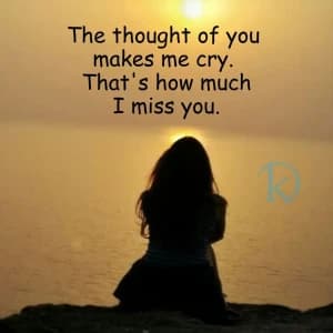 The thought of you makes me cry. That's how much I miss you.