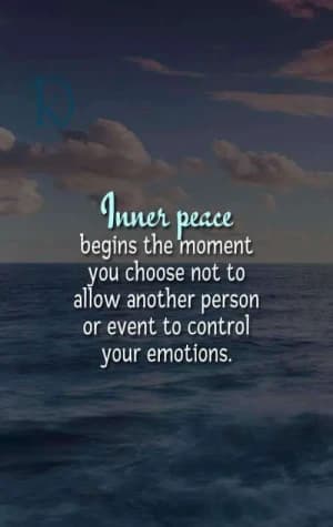 Inner peace begins the moment you choose not to allow another person or event to control your emotions.