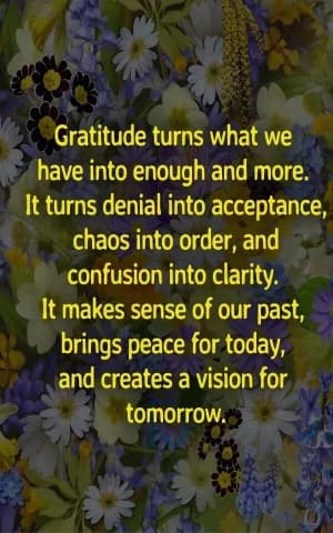 Gratitude turns what we have into enough and more. It turns denial into acceptance, chaos into order, and confusion into clarity. It makes sense of our past, brings peace for today, and creates a vision for tomorrow.