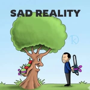 SAD REALITY