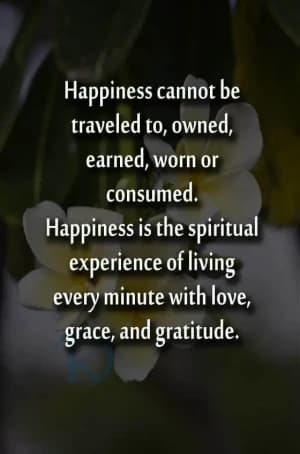 Happiness cannot be traveled to, owned, earned, worn, or consumed. Happiness is the spiritual experience of living every minute with love, grace, and gratitude.