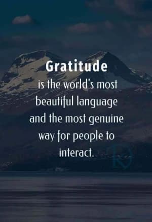 Gratitude is the world's most beautiful language and the most genuine way for people to interact.